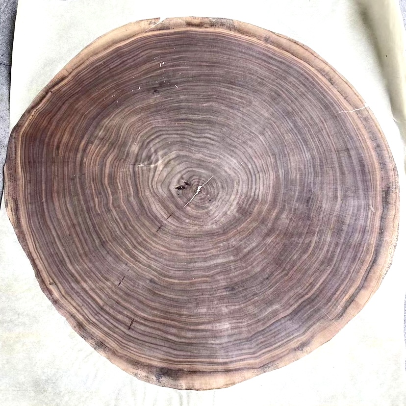 Veneer lát cắt thân gỗ Óc Chó - Walnut Wood đường kính 600 đến 800mm - VN 60